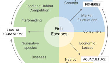 Aquaculture and the Conservation of Endangered Species