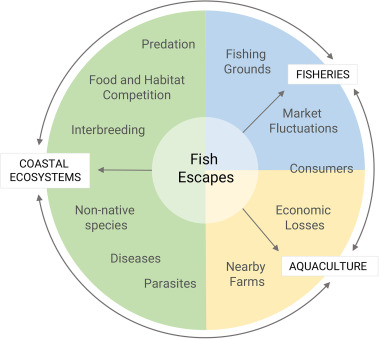 Aquaculture and the Conservation of Endangered Species